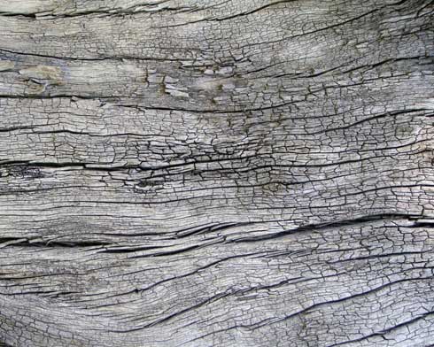 Old Railway